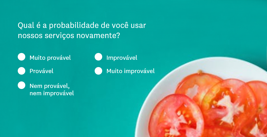 Survey 2_mockup_pt-BR
