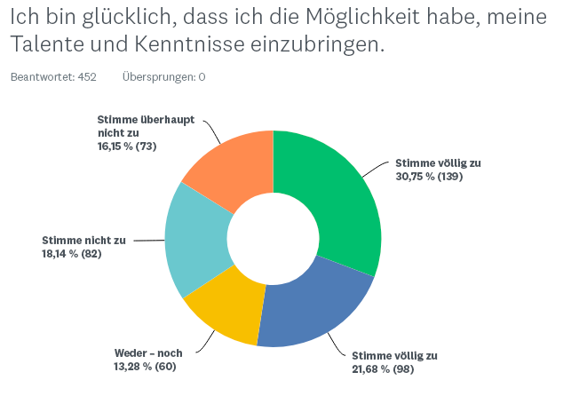 DeliverShip: Kuchendiagramm zu Talenten und Kenntnissen