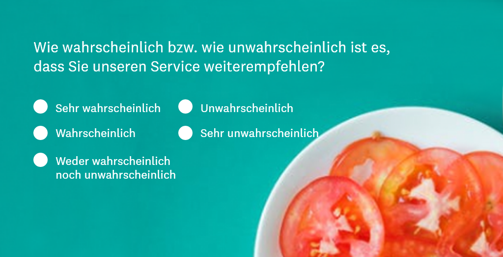 Survey 2_mockup_de-DE