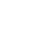 Verizon