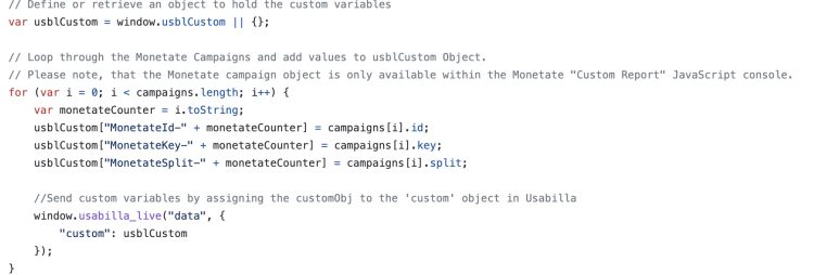 Image of code for javascript code to add to your Monetate custom report
