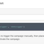 Image showing the manual trigger screen with the script tag.