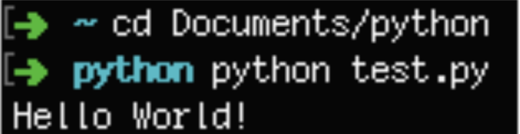 Screenshot of python code test