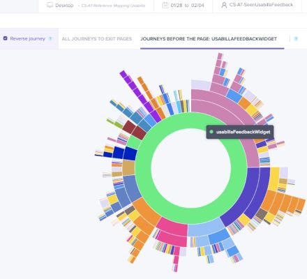ContentSquare custom segment “usabillafeedbackwidget” sunburst.