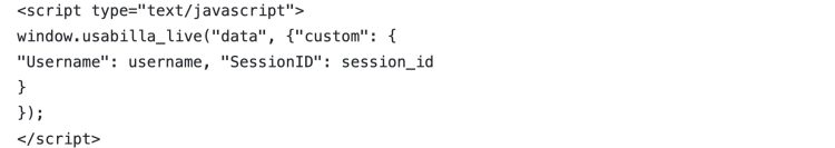 Image of javascript for custom variables