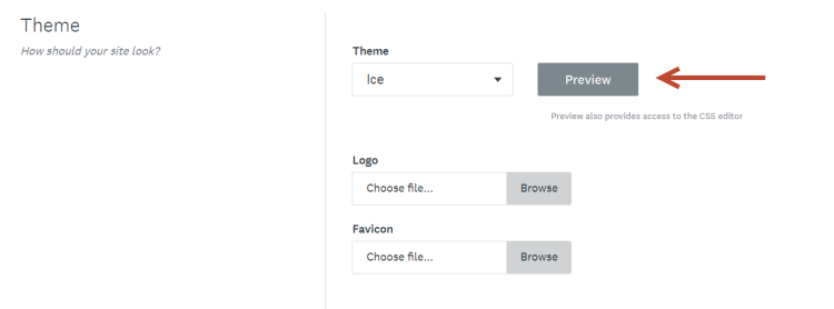 Image of how you access the css editor via the theme section.