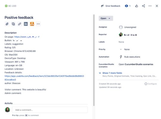 Example of what a feedback item looks like in Jira.