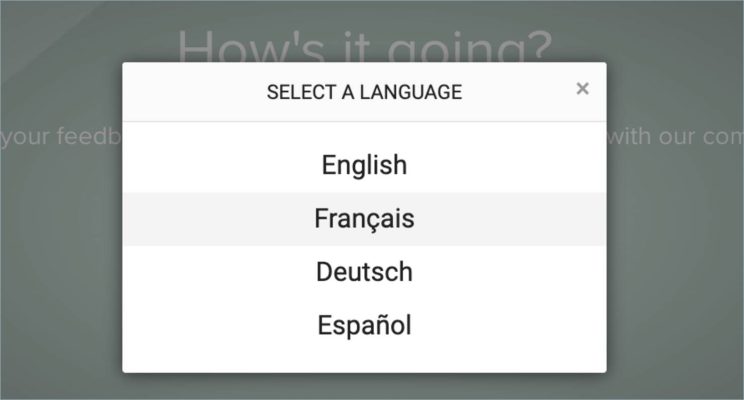 Respondents can select their language when they take a multilingual survey.