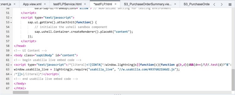 Image showing the javascript snippet pasted into the body of an html file.