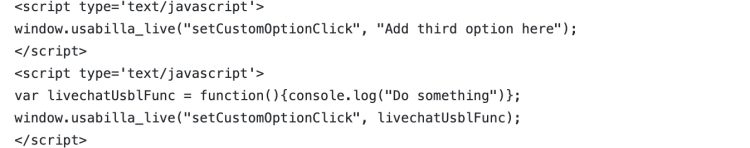 Image of code that allows you to add script to the optional third option in your feedback form intro