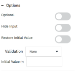 The available Text Response question Options settings.