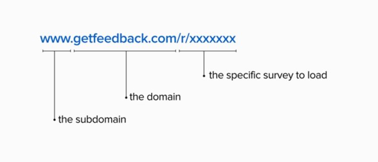 Breakdown of the structure of a GetFeedback URL.