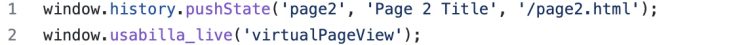 Image of virtual pageview code