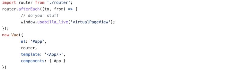 Image of virtual pageview VueJS router code