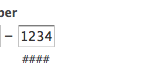 Sample of the US format phone field type.