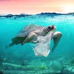 Axios|SurveyMonkey poll: plastics and consumer behavior