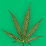 Axios|SurveyMonkey poll: marijuana