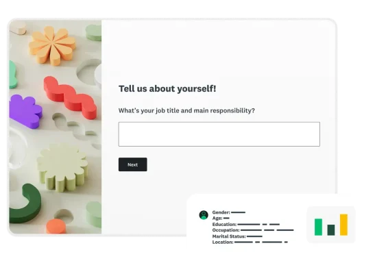 Buyer persona survey box