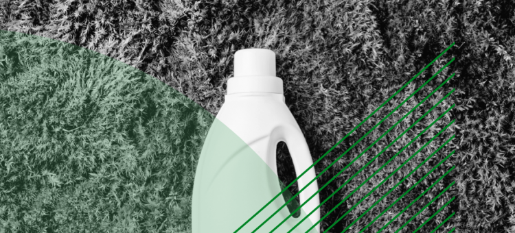 Por que os consumidores valorizam as marcas que praticam sustentabilidade