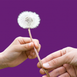 Sharing CX data throughout your org has never been easier