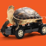 Why employees crave more training and how employers aren’t delivering it