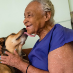 Screen Shot 2019-11-27 at 1.49.25 PM