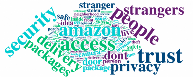 SurveyMonkey-Amazon Key word cloud