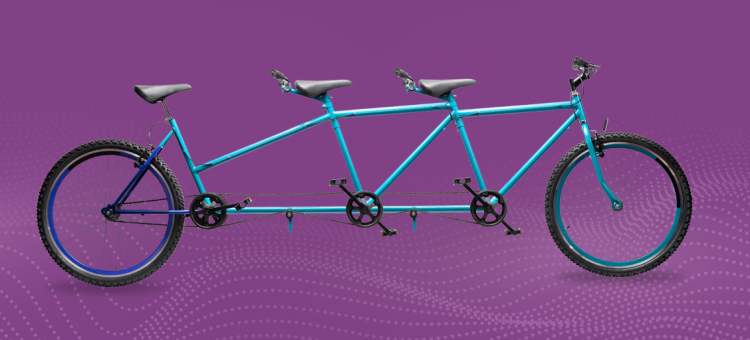 Leveraging your team seats: what you need to know