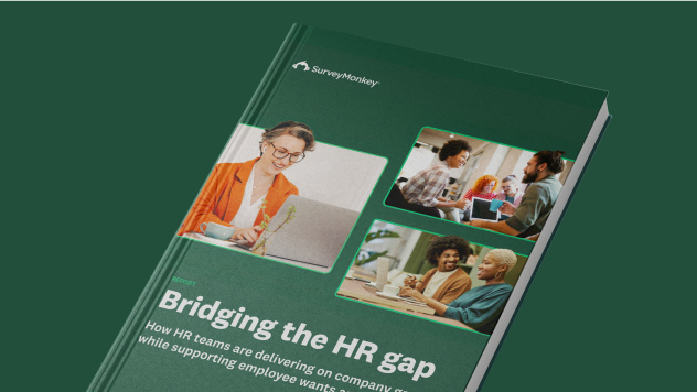 Picture of a book cover, titled "Bridging the HR gap"