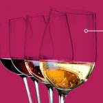 Wine study: How often people drink wine and why they enjoy it