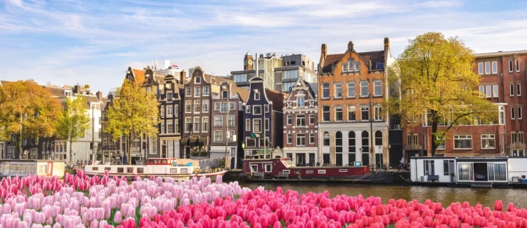 Photo de bâtiments le long d'un canal bordé de tulipes à Amsterdam