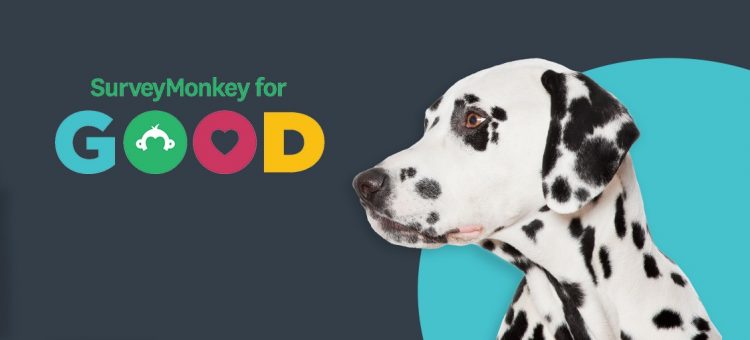 How SurveyMonkey for Good helps animals find safe, loving homes with the Humane Society of the United States