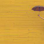 Washing away the competition: an inside look at the shampoo industry’s top brands