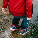 Education, the SurveyMonkey way