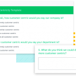 customer centricity survey template preview
