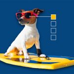 SurveyMonkey CX: New features for our cool customers