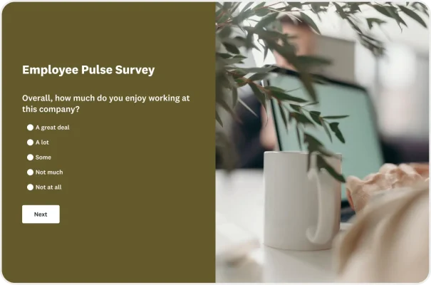 Pulse Survey Template