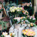 WATCH: How to create a Thank You page