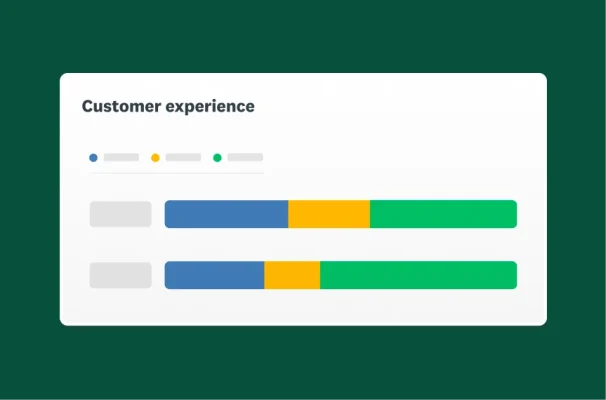 Screenshot of customer experience bar charts