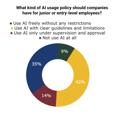 junior-AI-use
