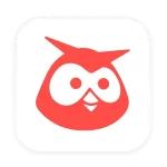 Hootsuite icon