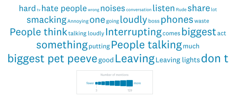Word cloud that shows the most common pet peeves among our respondents.