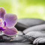 Full disclosure: how to add a privacy policy to your survey and boost response rates