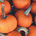 New survey templates to help you get started