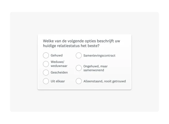 Voorbeeld van een demografische enquêtevraag