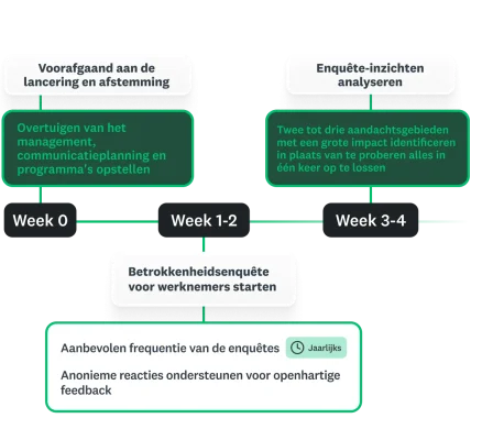 Een stappenplan voor het programma voor medewerkersbetrokkenheid, met een tijdlijn van week 0 tot en met 4 en verschillende stappen voor de voorbereiding van de enquête, afstemming en eerste inzichten uit de gegevens.