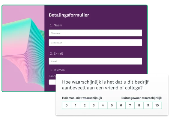 Productscreenshot van een betalingsformulier