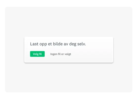 Produktskjermbilde filopplastingsspørsmål i undersøkelsesformat