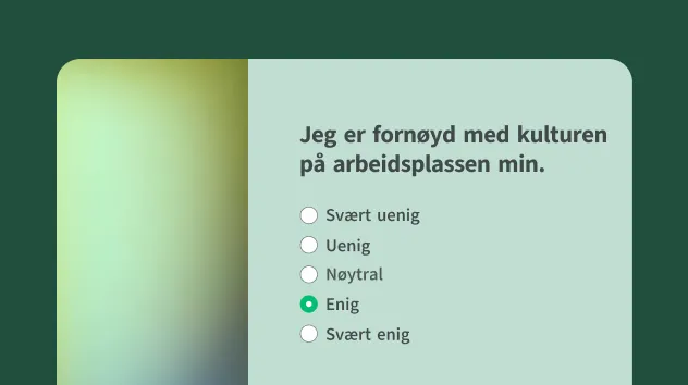 Mal for pulsundersøkelse om kultur