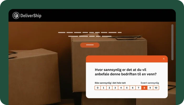 En nettstedsvisning av pappesker med et popup-vindu med en DeliverShip-anbefaling.